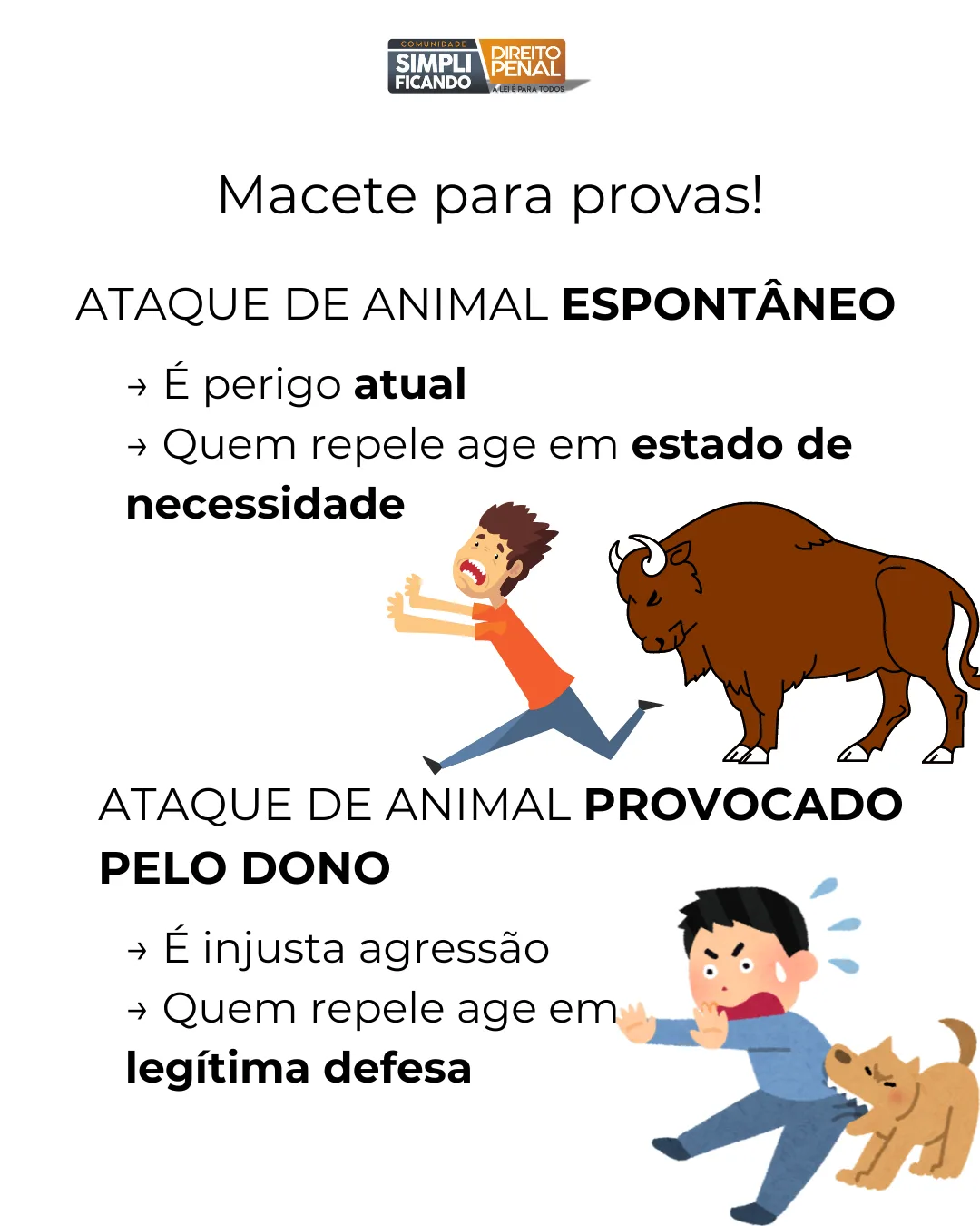 [PENALNAPAREDE-COMPLETO(8)